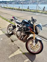 Benelli TNT1130 - Offers