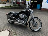 Harley-Davidson Sportster XL 1200 Custom - HARLEY-DAVIDSON 2008 SPORTSTER 1200