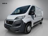 Fiat Ducato Kasten 33 130 L2H1 AHK Radio Tüv Neu - Fiat Ducato: L2h1