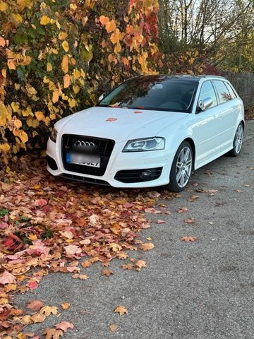 Audi s3 8p