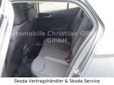 Skoda Fabia Style 1.0 TSI 110 PS LM SHZ Rückfahrkamera - Skoda Fabia: Style