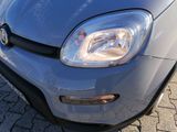 Fiat PANDA 1.0 GSE Hybrid - Fiat Panda: Pickup
