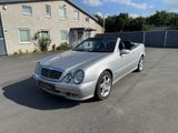 Mercedes-Benz CLK 200 KOMPRESSOR AVANTGARDE / HU/SERVICE NEU - Mercedes-Benz aus 2001: Cabrio, Clk