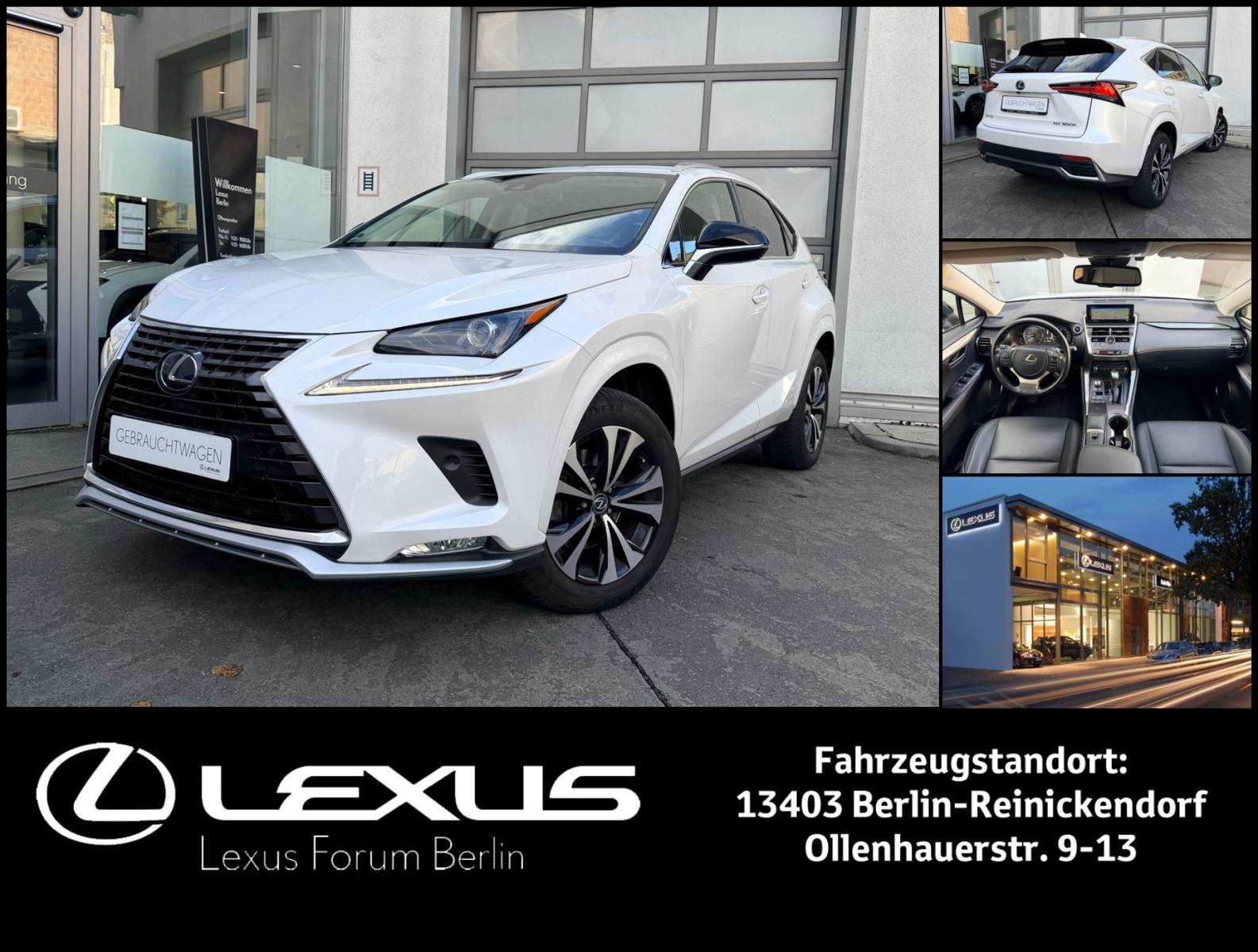 Lexus NX 300 h  Style Edition * All-Wetter-Reifen*