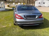 Mercedes-Benz CLS 500 - Mercedes-Benz CLS 500: Limousine
