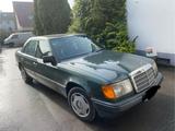 Mercedes-Benz Mercedes Benz W124 300D Sechszylinder H-Ol... - Mercedes-Benz 300 aus 1987: 300d
