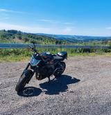 Yamaha FZ1-N - YAMAHA FZ