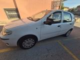 Fiat Punto 1.2 benzina 60cv 5 porte 2010 - Fiat Punto: 60