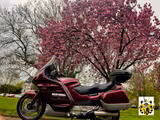 Honda ST 1100 Pan European - HONDA 1990