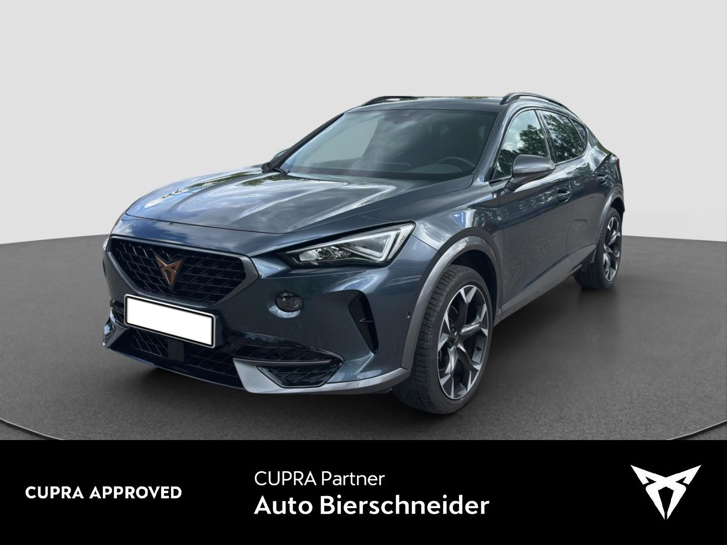 Cupra Formentor 1.5 TSI DSG AHK KAMERA ACC 19