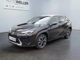 Lexus UX 250h Style Edition *Bi-LED*ACC*CAM*SHZ*CarPla - Lexus in Dortmund