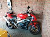 Aprilia RSV Tuono 1000 - Offers matching your search criteria