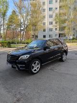 Mercedes-Benz Mercedes MI 350 CDI - Top Zustand, Vollaus... - Mercedes 350 SUV
