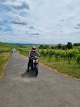 Triumph Speed Triple 955i - Angebote