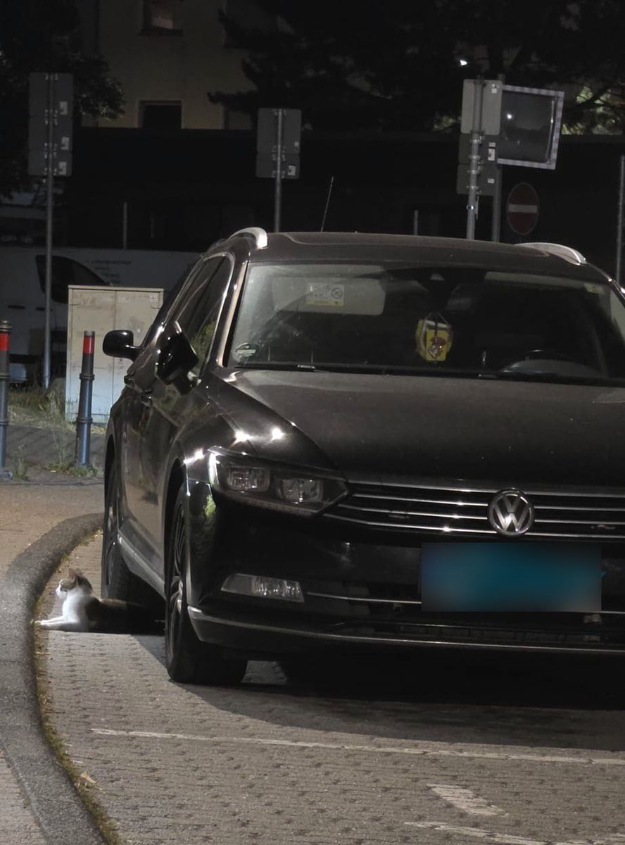 VW VW Passat, Baujahr 2016  10.000  VB