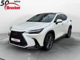 Lexus NX 350h E-FOUR Luxury Line *PANO* Mark Levinson - weiße Lexus NX 350h