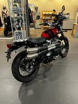 Triumph Scrambler 900  - Offers