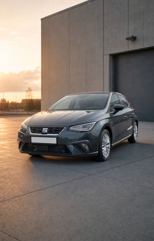 Image of Seat Ibiza
