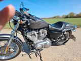 Harley-Davidson XL883L - HARLEY-DAVIDSON AUGSBURG