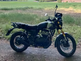 Royal Enfield Bear 650 Golden Shadow - Royal Enfield Bear 650