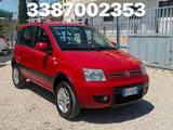Fiat Panda 4x4 1300 multijet climbing 1 prop. no - Fiat Panda mit Diesel-Antrieb: Multijet