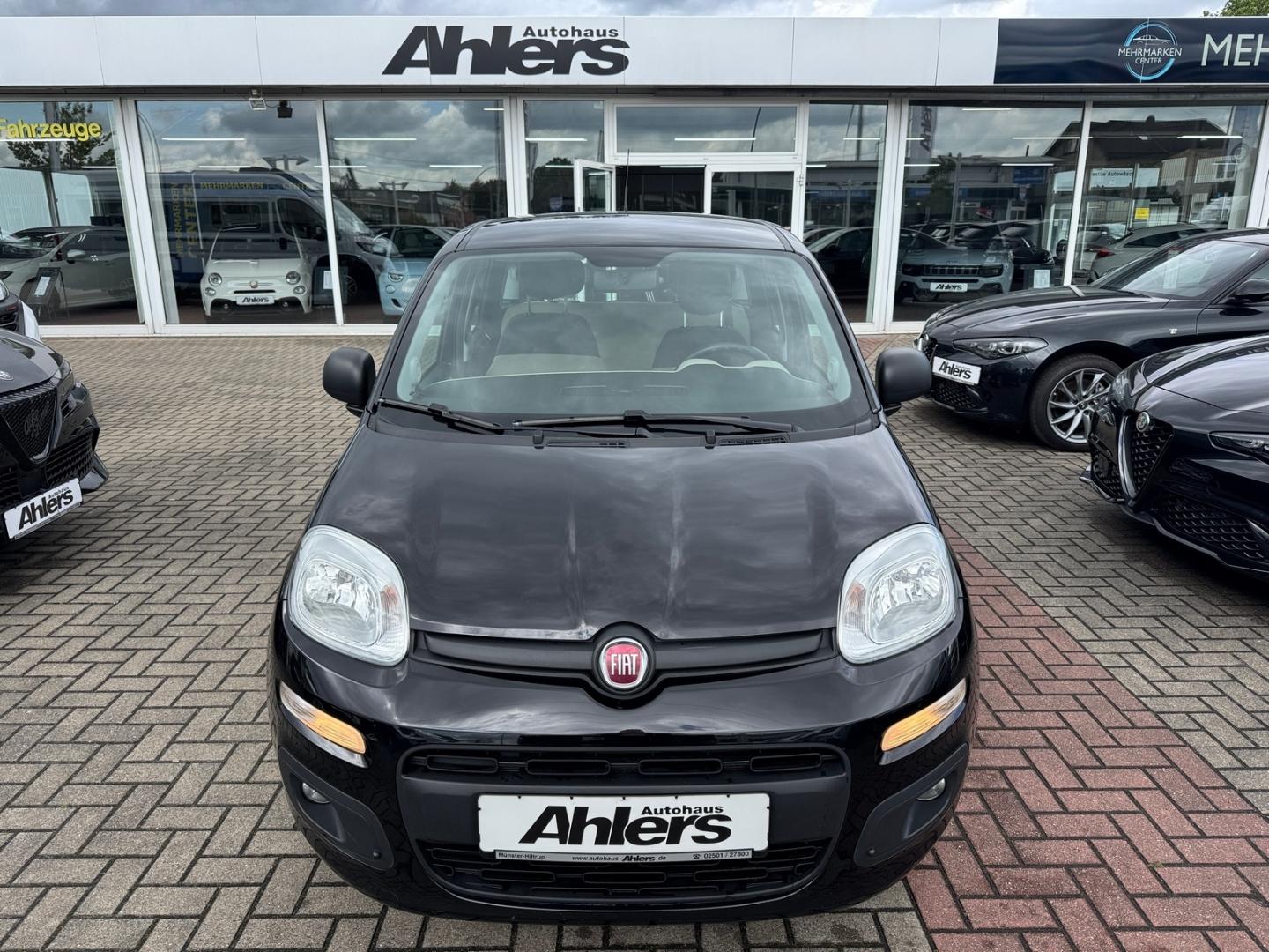 Fiat Panda Easy+1HAND+ZAHNRIEMENNEU+CARPLAY+KLIMA+PDC