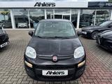 Fiat Panda Easy+1HAND+ZAHNRIEMENNEU+CARPLAY+KLIMA+PDC - gebrauchte Fiat Panda aus dem Jahr 2016