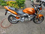 Honda Hornet 600 PC36 CB600F - HONDA HORNET 600 PC36