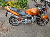 Honda Hornet 600 PC36 CB600F - HONDA 2007 HORNET 600