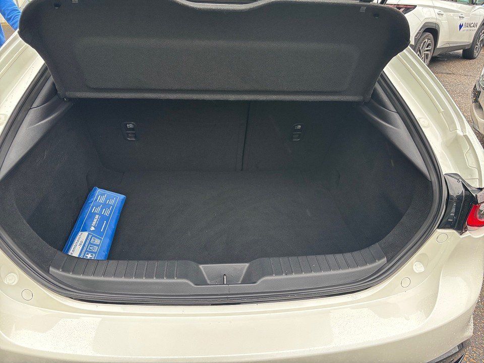 Fahrzeugabbildung Mazda 3 X 2.0i 186PS A/T HOMURA PRE-P