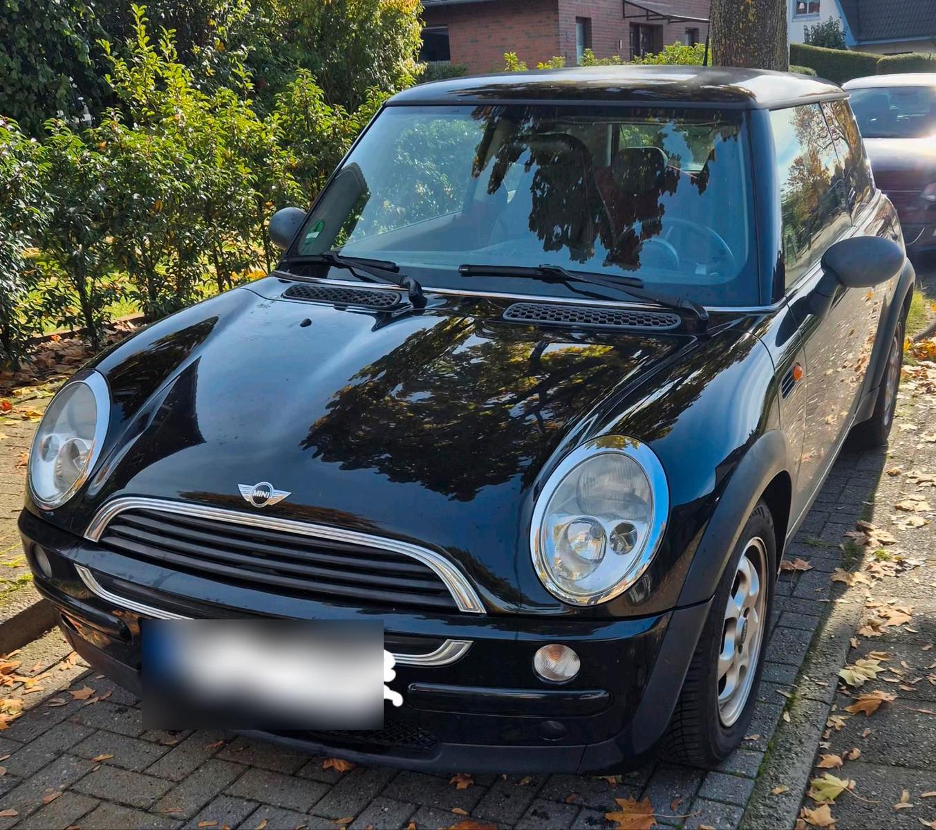 MINI ONE