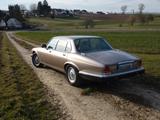 Jaguar XJ V12 S3, 3. Hand, unrestauriert, H-Kennzeichen - Jaguar: V12
