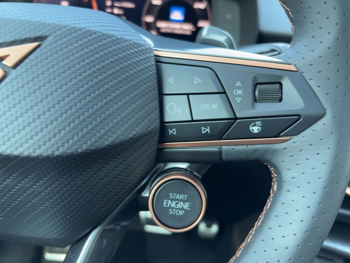 Cupra Terramar - Bild 18