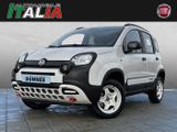 Fiat Panda 4x40 Jahre Edition - Allrad 0.9 Twin Air - Fiat Panda: Kombi