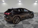 Lexus NX 450h 450h+ E-FOUR - - Lexus NX 450h Gebrauchtwagen