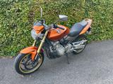Honda CB600F Hornet PC 36  - HONDA 2005 HORNET 600