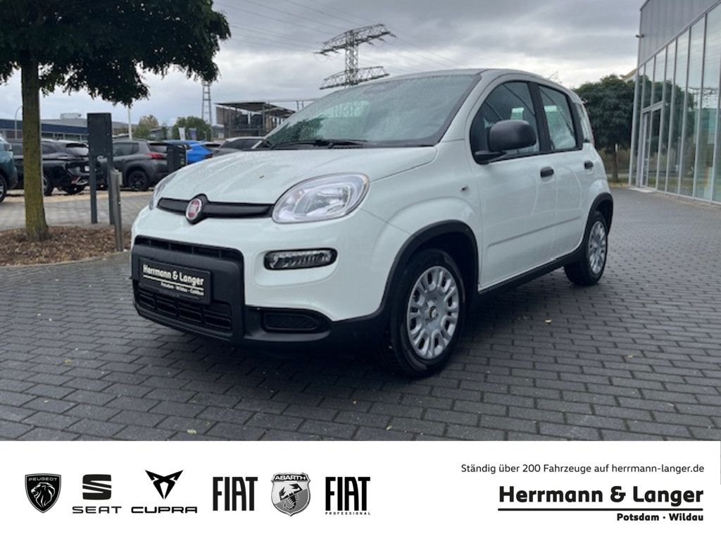 Foto: FIAT Panda (Fahrzeug-Nummer  L31285-140WEW (140))