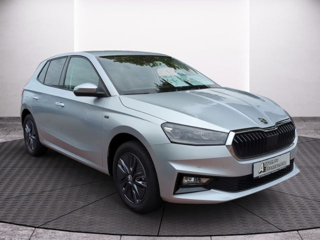 Fahrzeugabbildung SKODA Fabia 1.0 TSI Tour WINTER PLUS LENKRADHZG