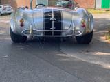Cobra Andere  - Cobra