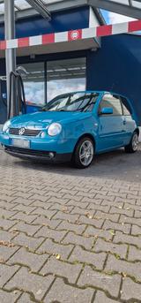 Volkswagen Lupo 1.0 Princeton TÜV 01/28 Zahnriemen Wapu NEU - Volkswagen Lupo: Princeton