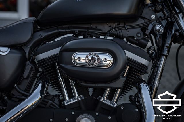 Fahrzeugabbildung Harley-Davidson XL883N SPORTSTER IRON - HEIZGRIFFE - Wartung neu