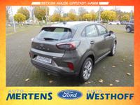 Ford Puma Mild Hybrid Sitzheizung GJR PDC LM-Felgen
