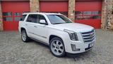 Cadillac Escalade 6.2 V8 Platinum Autom. Platinum - Cadillac aus 2017