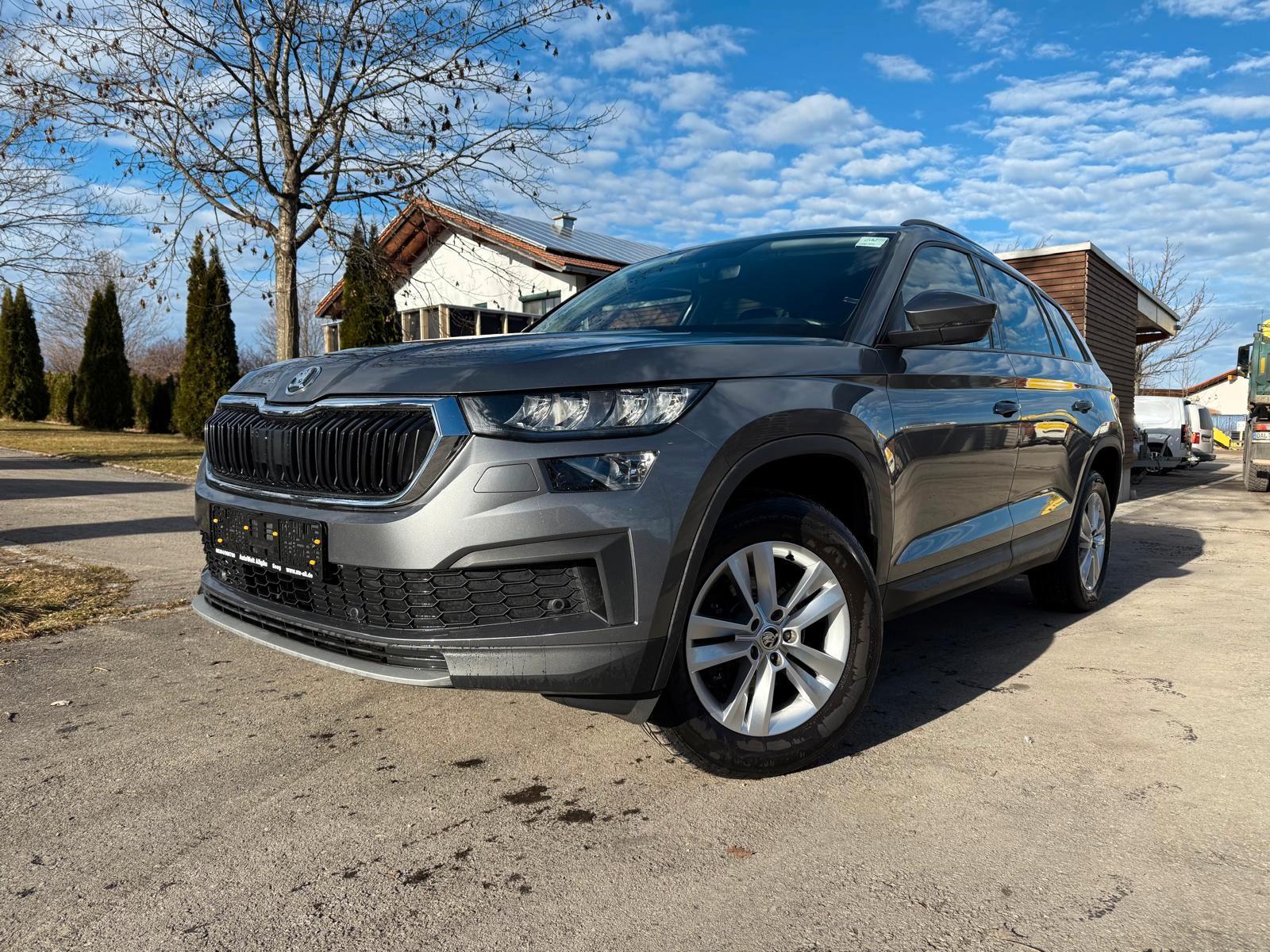 Skoda Kodiaq 2.0 TDI Ambition/Kamera/SHZ/Navi
