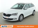 Skoda Fabia 1.0 TSI Clever Best of *NAV*ACC*CAM*PDC* - Skoda Fabia: Clever Best Of