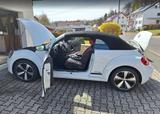 Volkswagen Beetle 1.2 TSI DSG BMT CLUB Cabriolet CLUB - Volkswagen Beetle CLUB mit Benzin-Antrieb