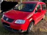 Volkswagen Caddy Maxi mit Rollstuhlrampe