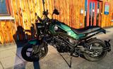 Benelli Leoncino 125 - BENELLI LEONCINO 125