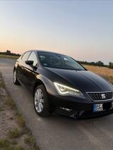 Seat Leon 1.4 TSI 92kW Start&Stop Xcellence Xcellence - Seat Leon: 1.9