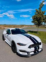 Ford Mustang// KW V3 - Ford Mustang: Alcantara